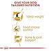 Royal Canin Beagle Adult 12 kg, 1er Pack (1 x 12 kg)