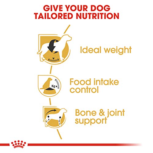 Royal Canin Beagle Adult 12 kg, 1er Pack (1 x 12 kg)