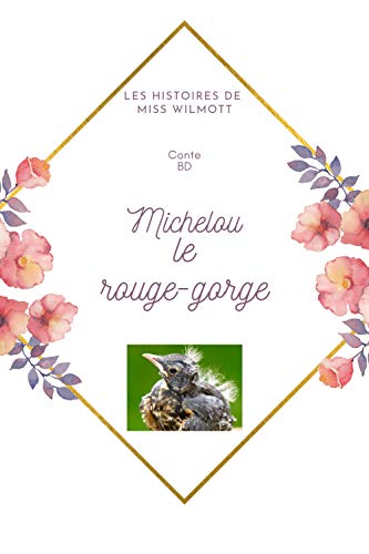 Amazon Com Michelou Le Rouge Gorge Collection Les Histoires De Miss Wilmott French Edition Ebook Veilleux Garneau Diane Kindle Store