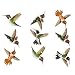 Wild Life Animals Wall Sticker Mural Hummingbirds, Small