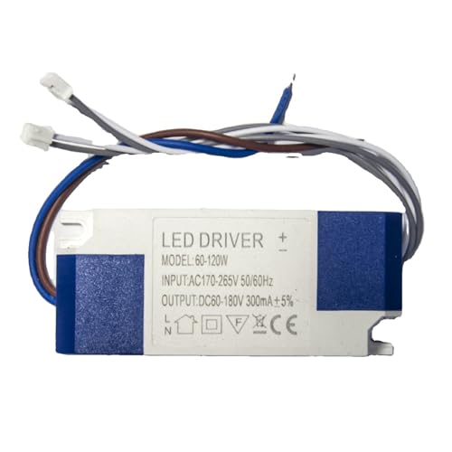 Ballast de puissance à double tête redresseur LED lumière blanche 60W 80W 100W 120W