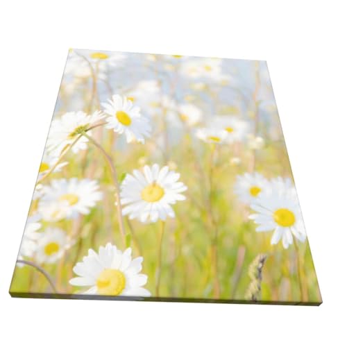 A[gplǊ| ԕ ?Ǒ?z _ |X^[  k|X^[ \t@wiAoX[N̗ǂ|[`Aؐt[free Size