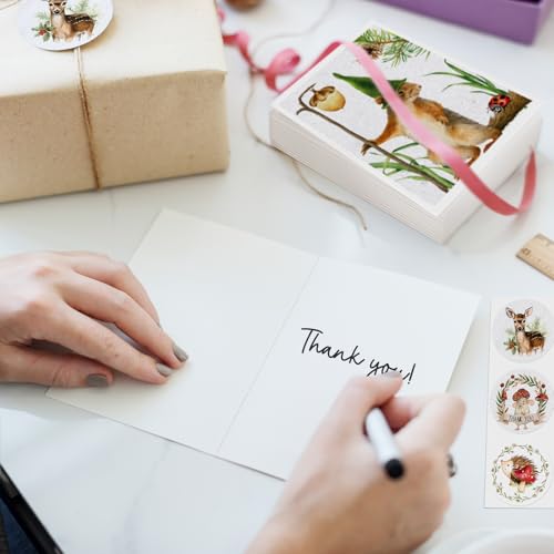 Image of Woodland Animals Blank Cards with Envelopes, 24 Pack Forest Animals Note Cards Bulk for Kids, 4x6 Inch Watercolor Greeting Card Set Boxed for All Occasions