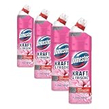 Domestos Kraft & Frische WC Gel Floral Fresh Reinigungsmittel mit frischem Blumen-Duft für hygienische Sauberkeit 750 ml 1 Stück (Packung mit 4)