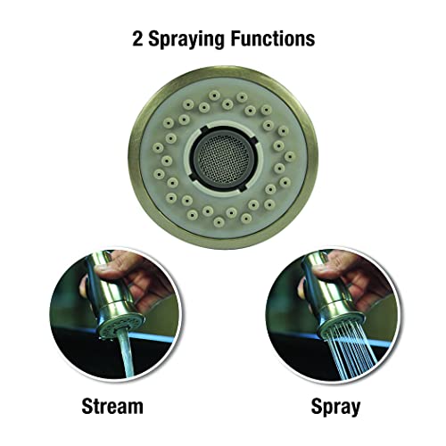 Danco Smart Spray Kitchen Sink Faucet Pull Down Faucet Spray Head, Stainless Steel, 1-Pack (10724) #TOP2