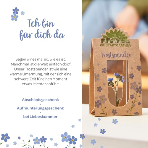 Die Stadtgärtner Trostspender I Vergissmeinnicht im Glas als Trost-Geschenk in schweren Zeiten I Abschiedsgeschenk für Freunde, Lehrerin & Geschenk zur Aufmunterung I Handgemacht in Deutschland