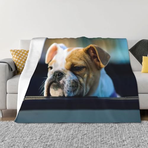 Couverture microfibre bouledogue EdWal avec finitions douces et légères