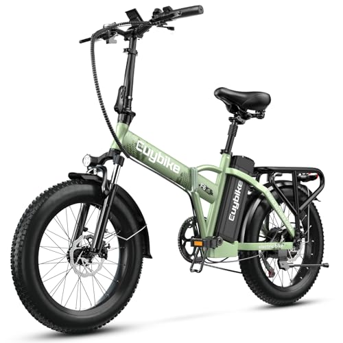 bluebiko 1000W Folding Electric Bike, 48V 20AH Large