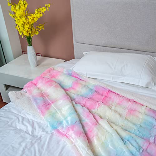 Super Soft Plush Throw Blanket, Tie Dye Cozy Fuzzy Blankets 50X60 Inches,Fluffy Sherpa Warm Microfiber Fleece Colorful Throws Blanket For Chair,Couch,Bed Rainbow #TOP2