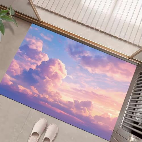 Paillasson retient la poussière tapis de porte extérieur 40x60
