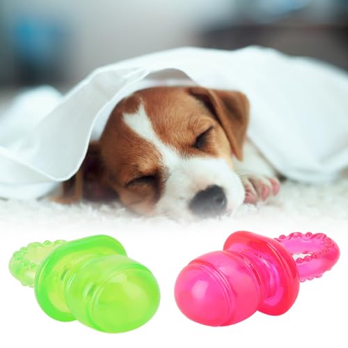 Acouto 2�� �y�b�g �q�� ���[�� �� �L ������Ԃ� ���� �V�� Ing le Pet Chew for Health Interactive Pet ����������q��