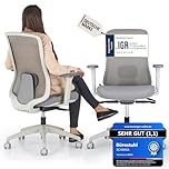 SCHEKKA® Bürostuhl Ergonomisch Testsieger - Besonders individuell Einstellbarer Schreibtischstuhl mit Lordosenstütze, 3D Armlehnen & atmungsaktives Mesh - Bürostuhl 150 kg (Hellgrau/Grau)