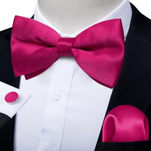 Conjunto de moño, pañuelo y gemelos para hombre miniatura 2