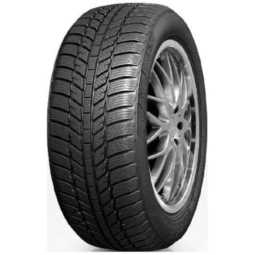 Roadx Winter Tyre 195/65 R15 WH01