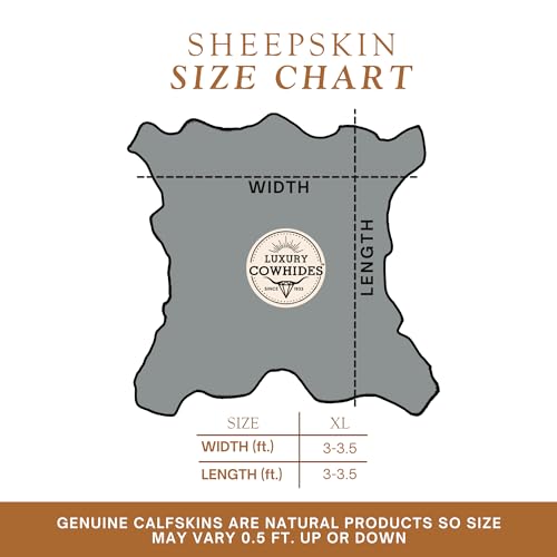 Sunshine Cowhides 100% Genuine Calfskin Tricolor Exotic Calf Hide Cowhide Rug - Modern Style Animal Skin Rug & Floor Carpet for Living Room, Bedroom, Kitchen & More - Small (3 x 3 Ft.)