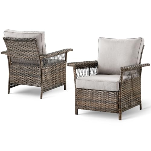 Rilyson Luxury Outdoor Patio Wicker Chairs Set of 2, Rattan
