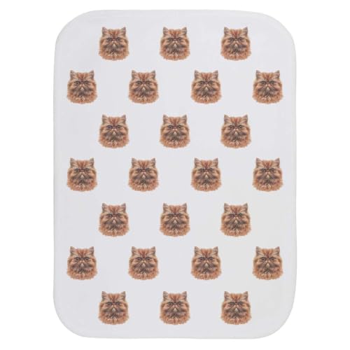 Azeeda 'Persian Cat Front View' Baby Burp/Wash Cloth (BC00028656)