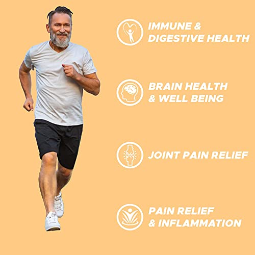 Life's Fortune Organic Turmeric Curcumin Dietary Supplement, Supports Joint Relies, Antioxidant Health, Immune, Digestive And Liver Health, 180 Vegetarian Capsules - 750Mg #TOP2