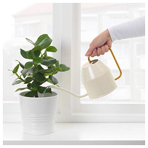 Ikea 403.941.18 Watering Can, Gold #TOP2