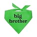 Big Brother Dog Bandana (887 Lime Green, One Size)