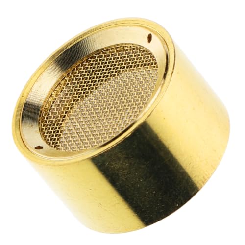 RORPOIR Condenser Microphone Core 22mm Gold Diaphragm Compatible with Most Kinds of Mic for Family Gatherings