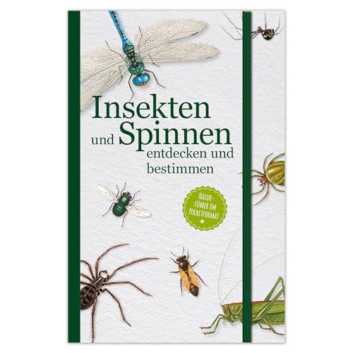 Insekten und Spinnen entdecken und bestimmen: Naturführer im Pocketformat zur Bestimmung von Insekten und Spinnen – ideal für Naturfreunde und Entdecker