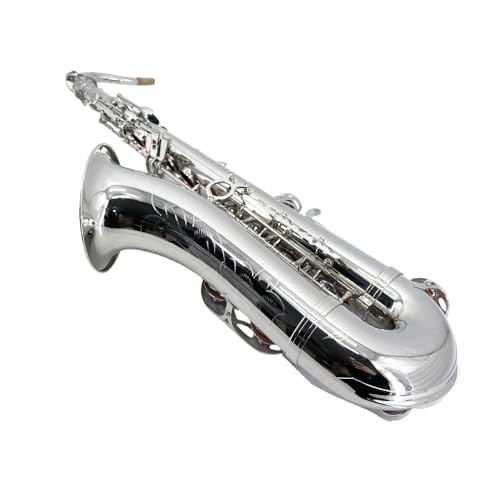 Image of Yinfente Bb Tenor Saxophone Professional Beginner Kit-B Flat Tenor Sax Complete Student Set with Hard Case,Reeds,Cleaning Cloth,Neck Straps,Mouthpiece Silver