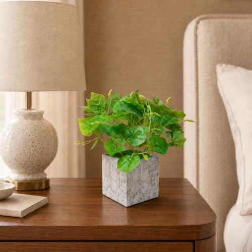 Image of fancymart Artificial Plant with Real-Touch Leaves in Pot, 25 cm, Indoor Tabletop Item for Home Decor, Office, Living Room
