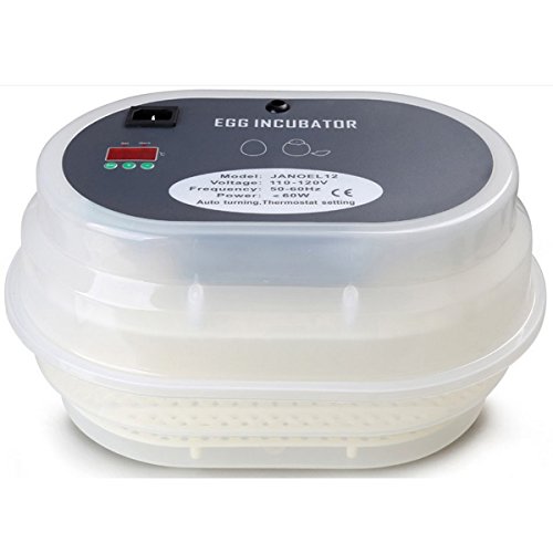 DirectWholesaler Egg Incubator