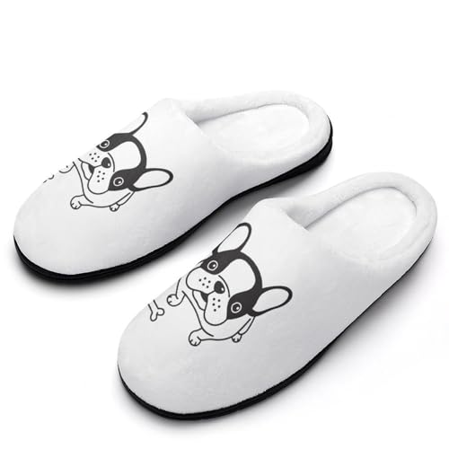 [ZKCASA] Xbp  {XgeA  [V[Y   qp h  g 􂦂 ~ jp I[V[Yp 11-12i42-43j