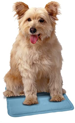 Snugglesafe Kühlpad für Hunde