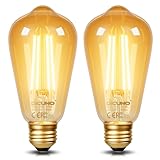 DiCUNO E26 Edison Bulbs 60W, 2200K Amber Warm, 6W LED Edison Bulb ST64, Amber Glass, Vintage LED Light for Home, 600LM, Non-Dimmable, CRI 80, Pack of 2