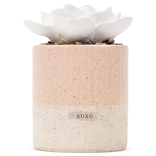 Demdaco Succulent Oil Diffuser - XOXO