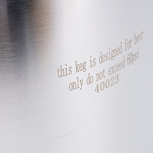 Yaebrew Stainless Steel 2.6 Gallon Mini Ball Lock Keg System For Small Batch Homebrewing Beer Brewing Strap Handle (10L) #TOP3