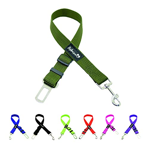 Cintura Sicurezza Cani Auto Nuovo Modello 2022