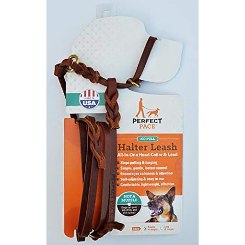 Leather Perfect Pace Halter Leash (Tan, 4' Leather) Cover