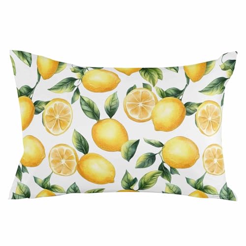 Pack of 2 Watercolor Lemon Outdoor Pillow Waterproof Covers 20x12 inch, Farmhouse Summer Fruit Polyester Throw Pillow Covers Garden Cushion Decorative Case for Patio Couch Decoration