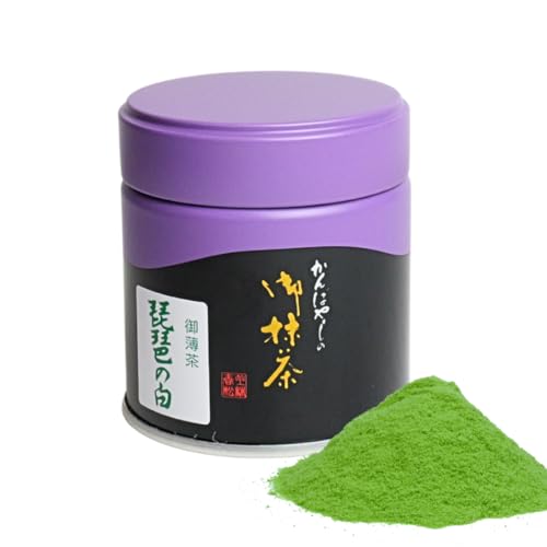 яt{X  i̔, p, F, { (40g)