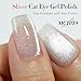 Double Rhythm 0.5 OZ Cat Eye Gel Polish with Magnet 15ML Holographic Glitter Shimmer Translucent Jelly Color Magnetic Polish Salon DIY at Home (Silver-MC1019)