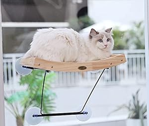 Pecute Katzen Fensterliege mit Kratzbaum
