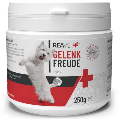 ReaVET Gelenkfreude Gelenkpulver für Hunde – Naturrein mit Grünlippmuschel, Teufelskralle, Hagebutte & Bierhefe I Unterstützt Beweglichkeit, Gelenke & Vitalität, Alternative zu Gelenktabletten I 250g