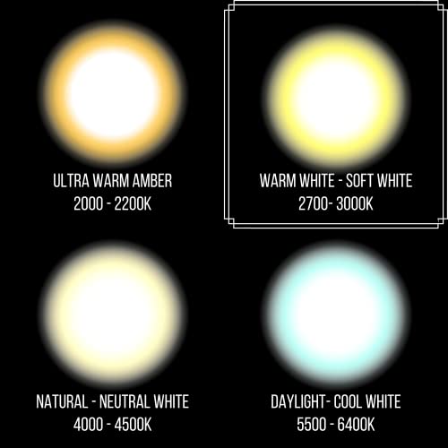 Xtricity Par20 Halogen Narrow Flood Light Bulb, 50W, Dimmable, 700 Lumens, E26 Medium Base, 2700K Warm White, 120V, Ideal For Range Hood Replacement, (4 Pack) #TOP7