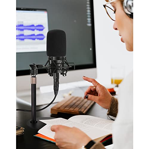 At2020 Desktop Mic Stand, Adjustable Height Table Mic Stand With Shock Mount, Pop Filter Windscreen, 1/4 To 3/8 Metal Adapter, Metal Weighted Base, For At2020 At2020Usb At2020Usb+ At2035 Mic By Rigych #TOP6