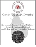Lerbs & Hagedorn