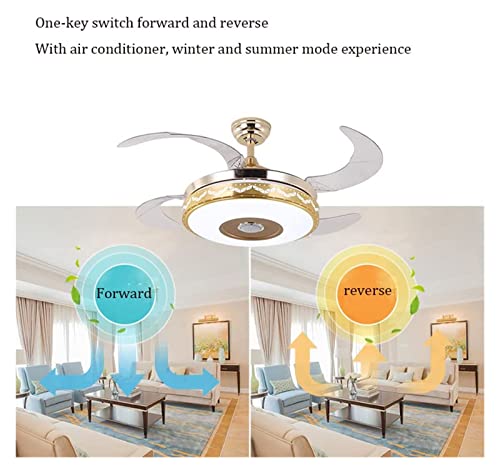Ventilateur de plafond rond à LED télécommandé et pales rétractables - 7