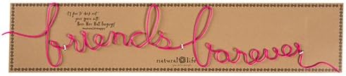 Natural Life "Friends Forever Wire Word Wall Art