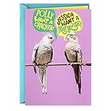 Hallmark Shoebox Funny Birthday Card, Margaritas (349RZF1047)