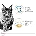 Royal Canin Maine Coon Breed Thin Slices in Gravy Adult Wet Cat Food, 3 oz can (4-pack)