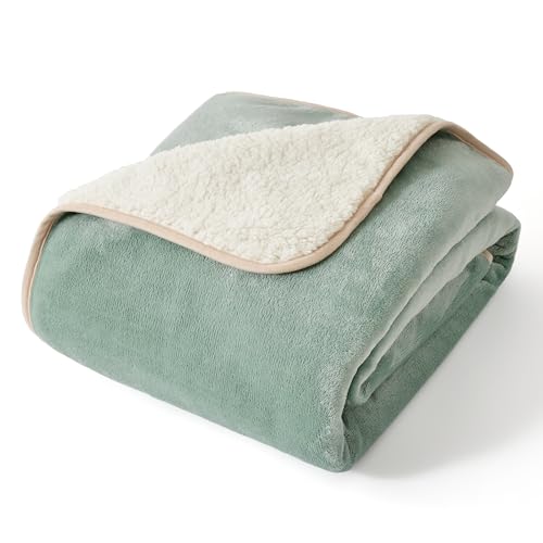 Image of Bedsure Waterproof Dog Blankets for Small Dogs - Small Cat Blanket Washable for Couch Protection, Sherpa Fleece Puppy Blanket, Soft Plush Reversible Throw Furniture Protector, 25 inchX35 inch, Light Green