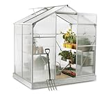 Lacewing Essential 2,4 m²